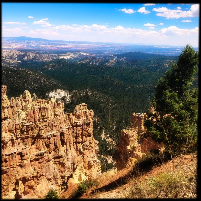 HipstamaticPhoto-556315483.728015