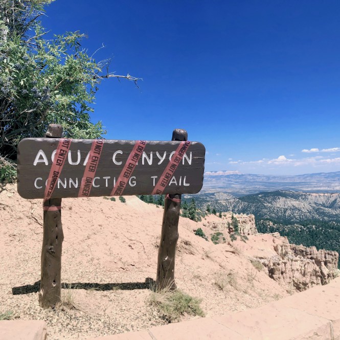 HipstamaticPhoto-556315507.565181