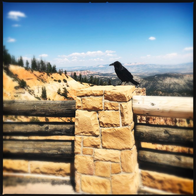 HipstamaticPhoto-556315644.305677