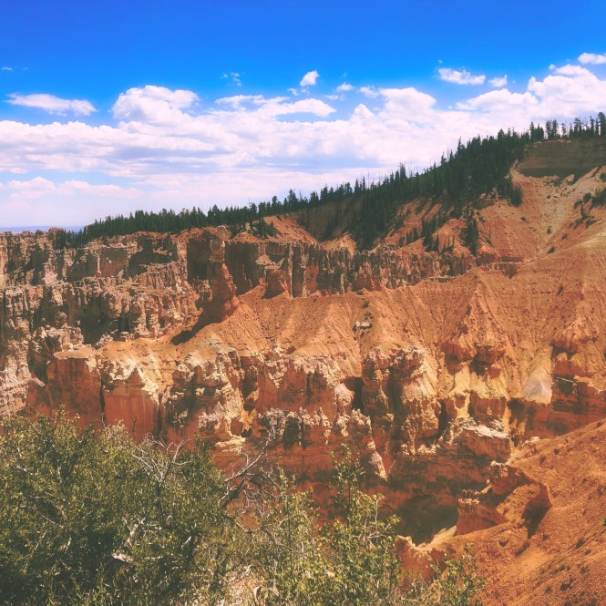 HipstamaticPhoto-556315859.540147