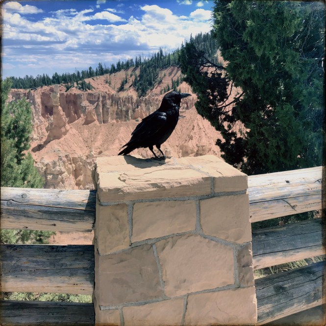 HipstamaticPhoto-556315930.450613