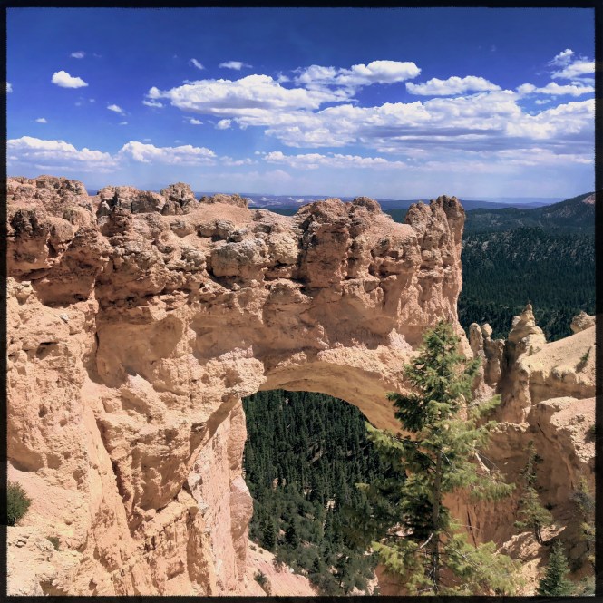 HipstamaticPhoto-556316234.888465