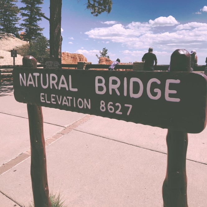 HipstamaticPhoto-556316331.063823