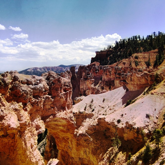 HipstamaticPhoto-556316372.286765