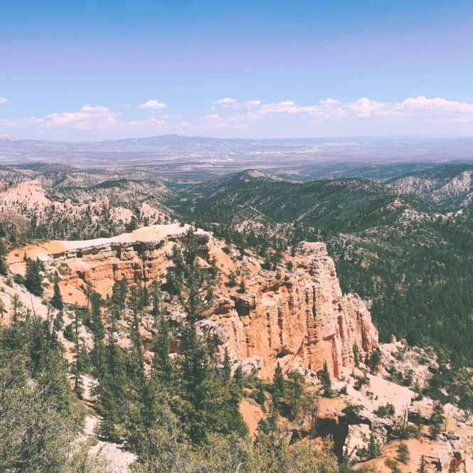 HipstamaticPhoto-556316731.777207