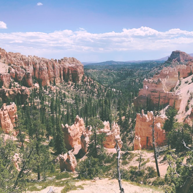 HipstamaticPhoto-556317659.431717