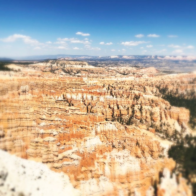 HipstamaticPhoto-556318182.797853