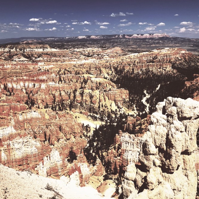 HipstamaticPhoto-556318379.134840