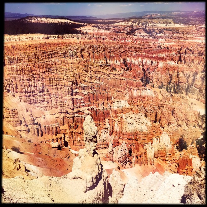 HipstamaticPhoto-556318432.458441