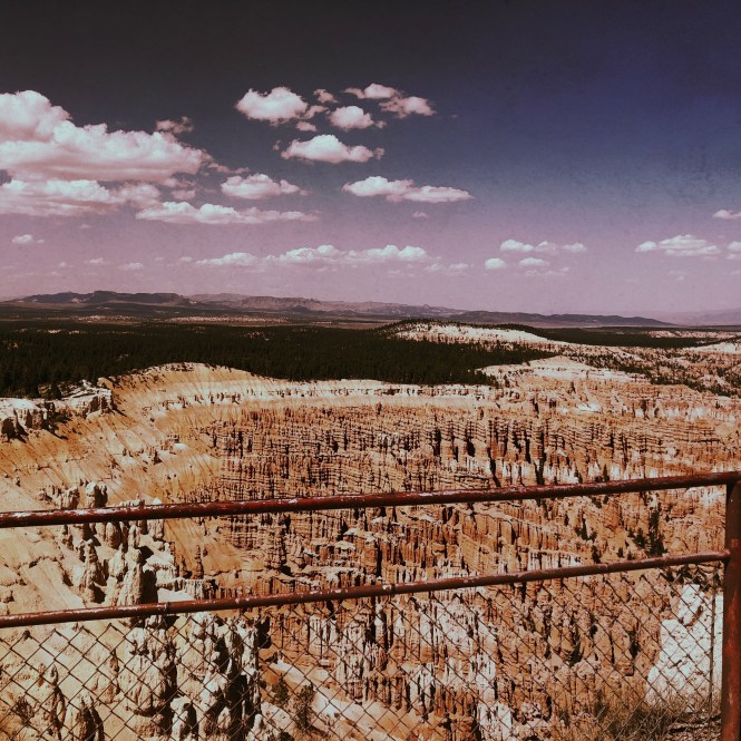 HipstamaticPhoto-556318857.754415