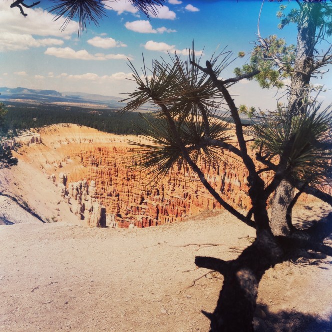 HipstamaticPhoto-556318926.268501