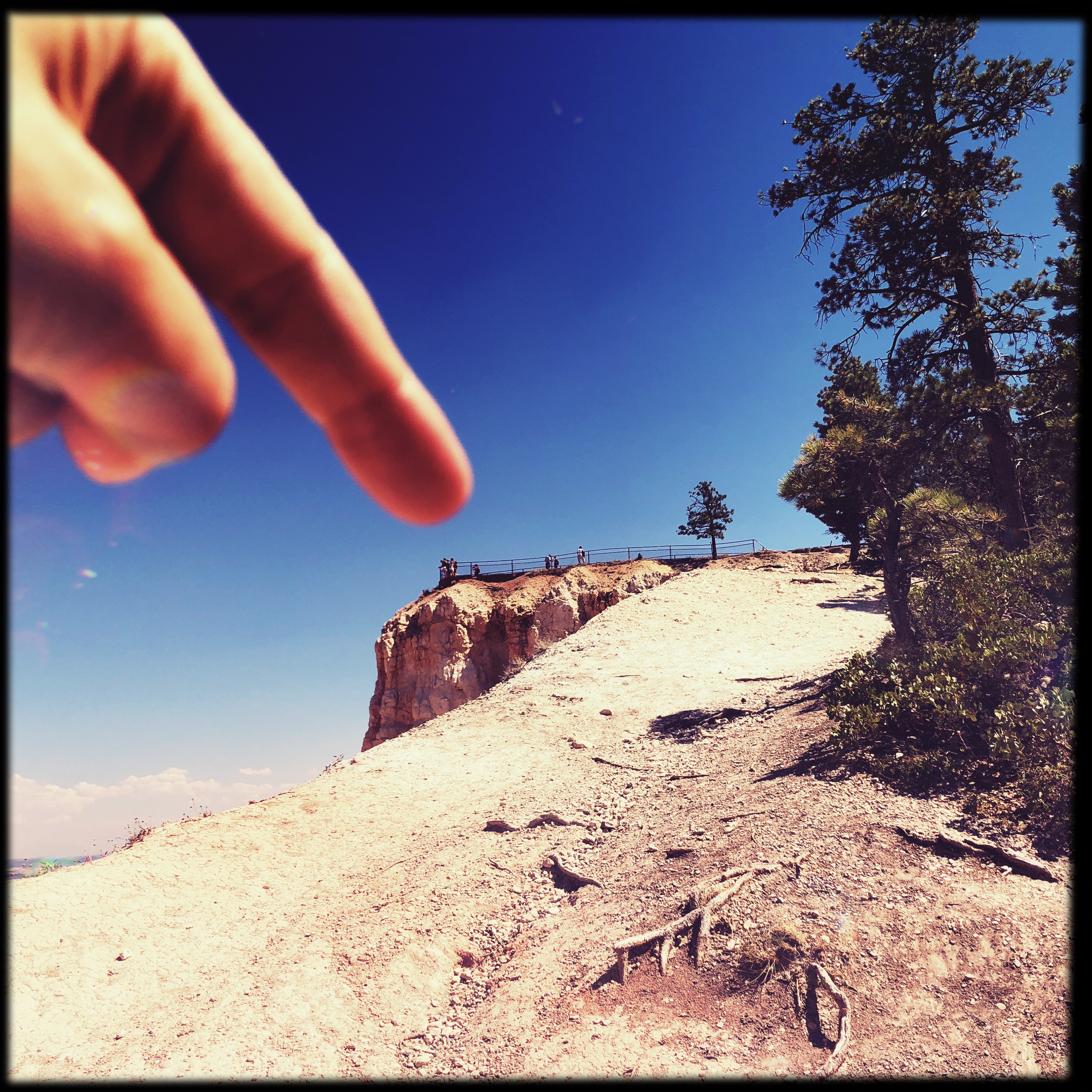 HipstamaticPhoto-556319124.396098