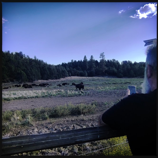 HipstamaticPhoto-556330425.845403