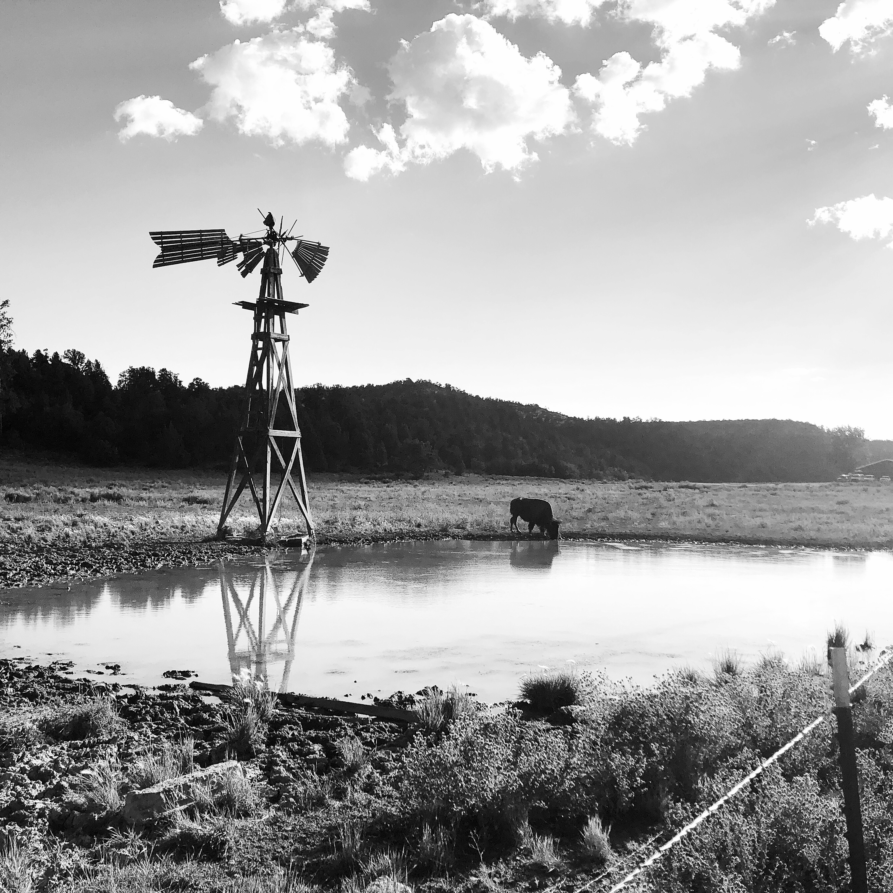 HipstamaticPhoto-556330591.689820