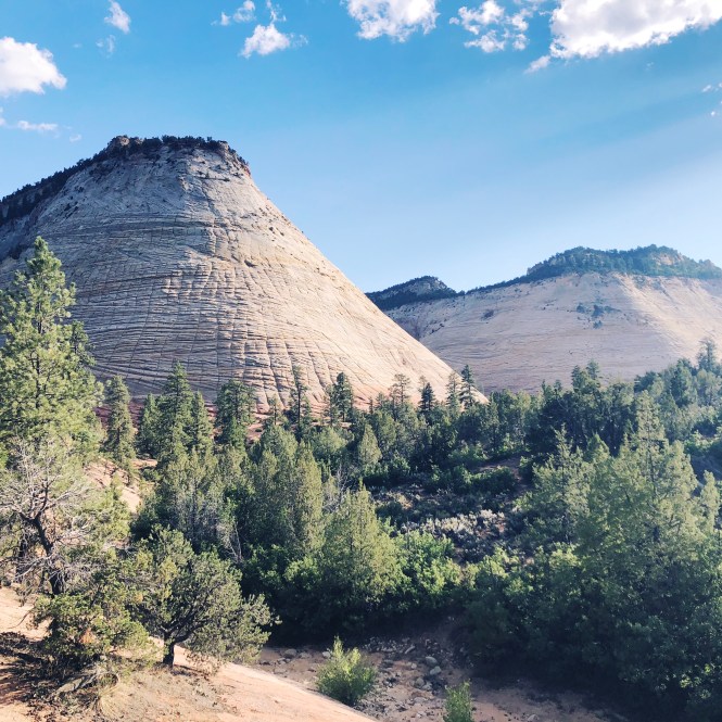 HipstamaticPhoto-556331463.636581