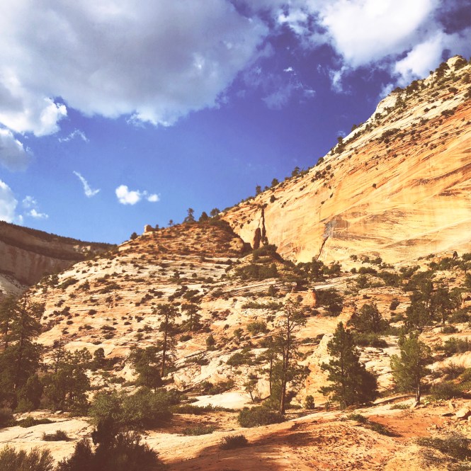 HipstamaticPhoto-556331817.681843