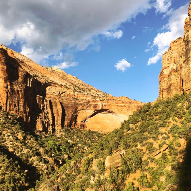 HipstamaticPhoto-556333042.238973