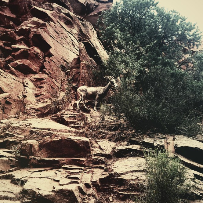 HipstamaticPhoto-556335811.327108