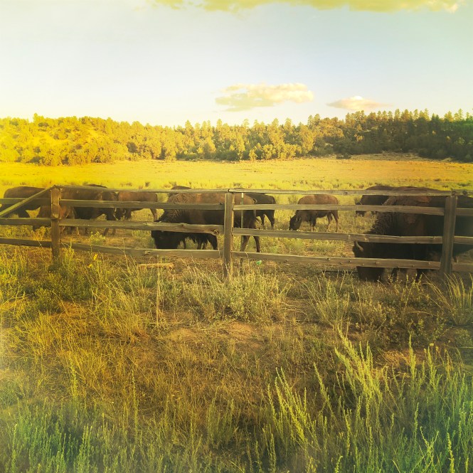 HipstamaticPhoto-556336774.597563