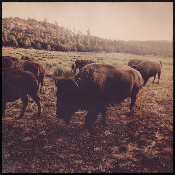 HipstamaticPhoto-556336792.957129