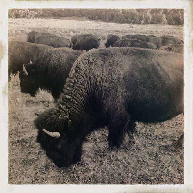 HipstamaticPhoto-556336803.801932