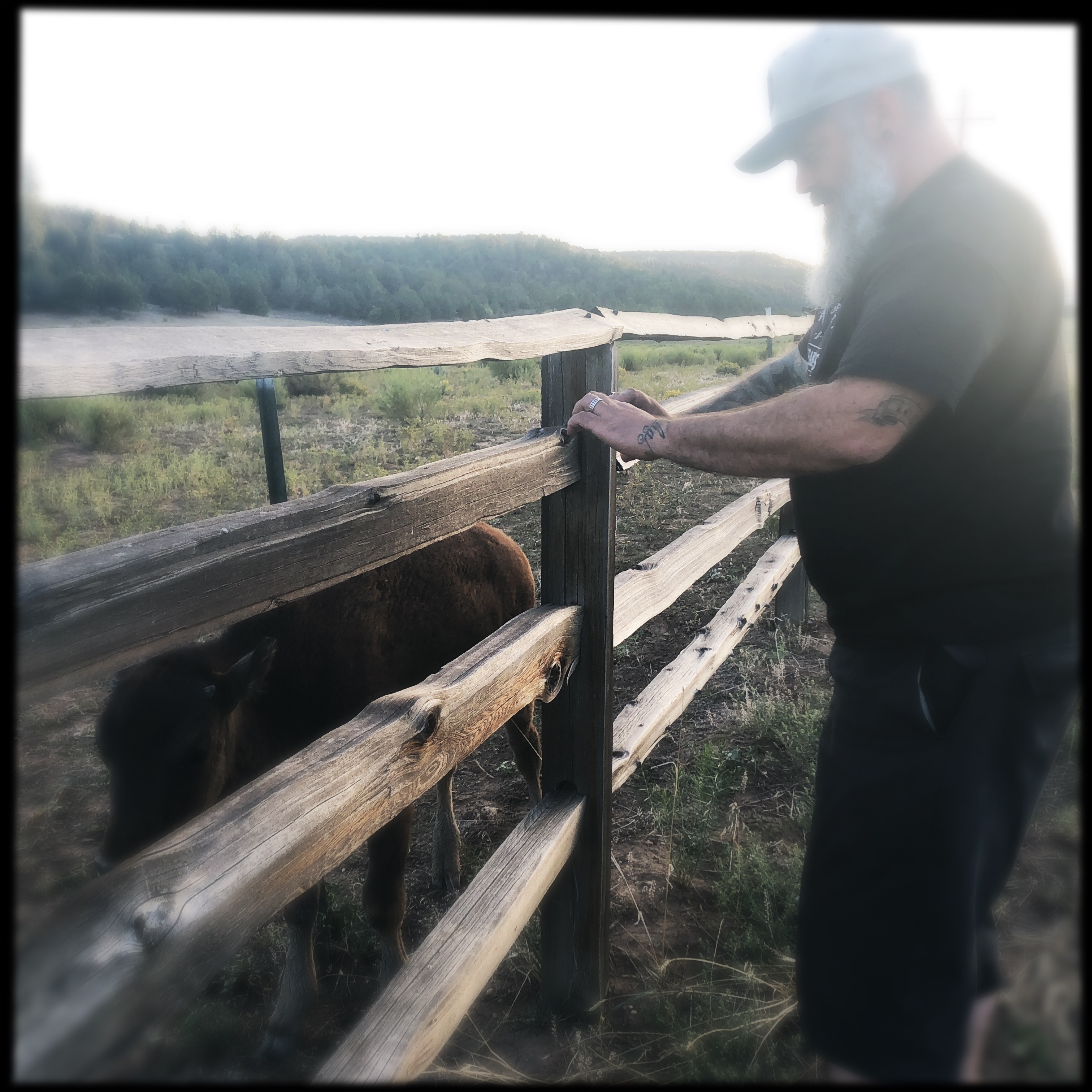 HipstamaticPhoto-556336864.358653