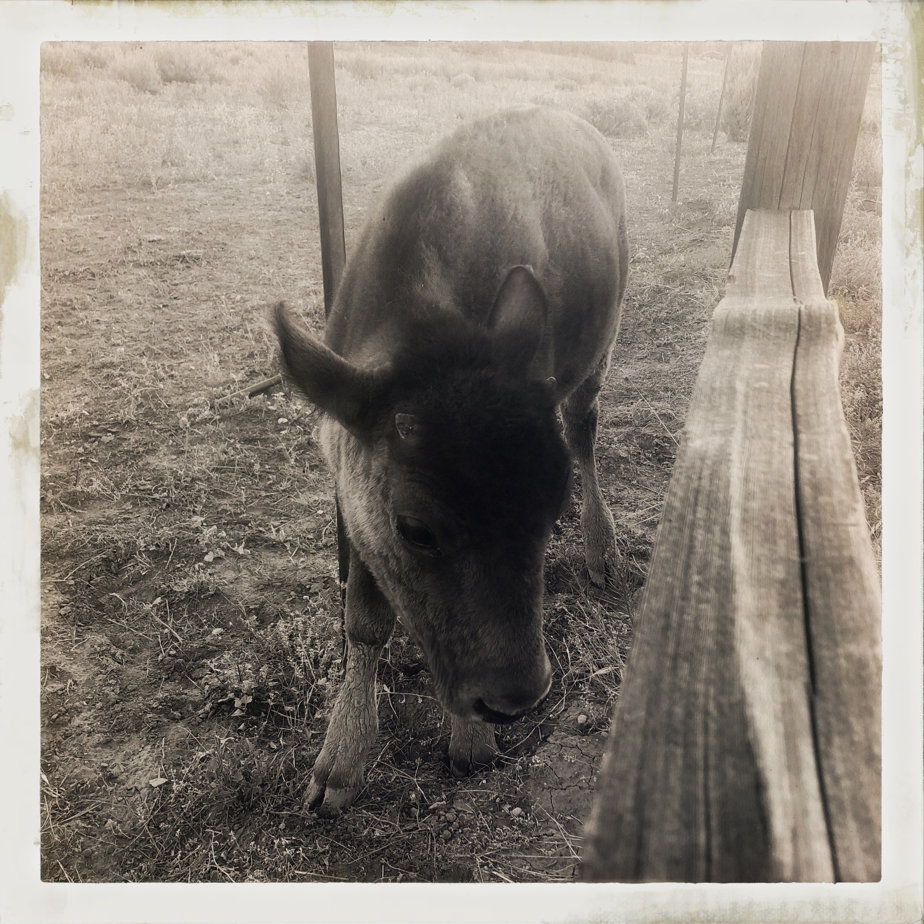 HipstamaticPhoto-556336876.747229