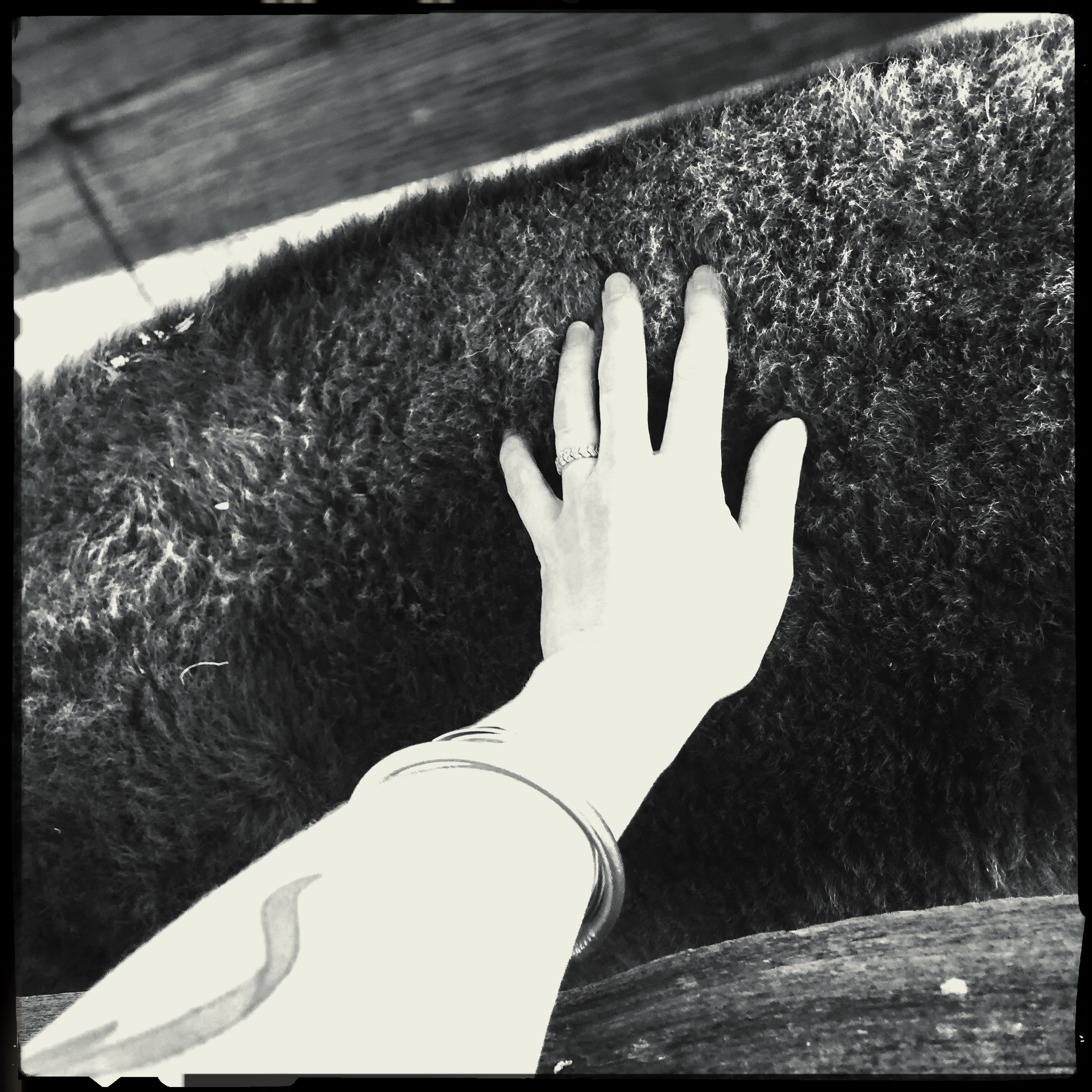 HipstamaticPhoto-556336884.196609