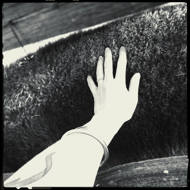 HipstamaticPhoto-556336884.196609