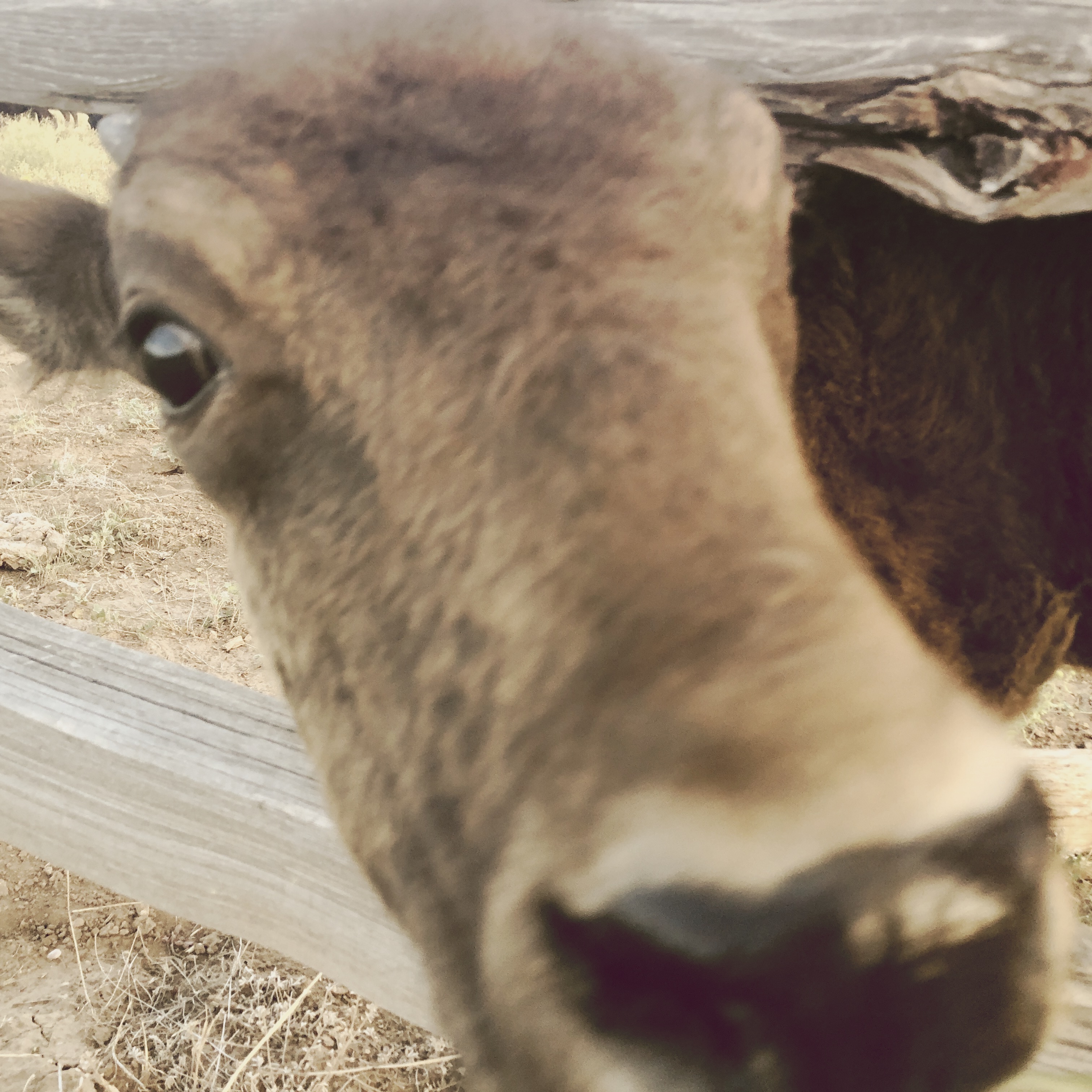 HipstamaticPhoto-556336895.566962