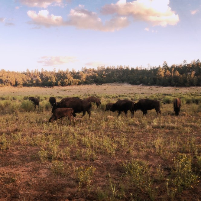 HipstamaticPhoto-556336916.828519