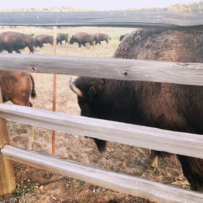 HipstamaticPhoto-556336954.809432