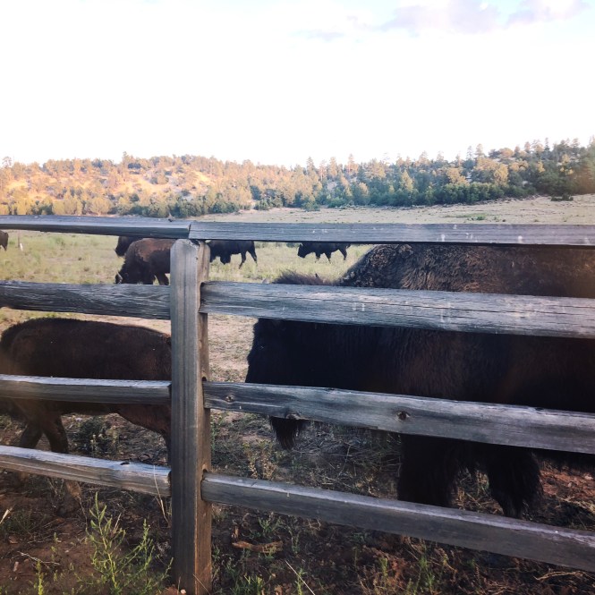 HipstamaticPhoto-556337012.427395