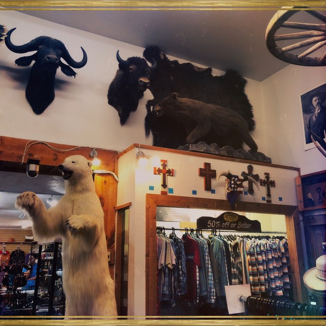 HipstamaticPhoto-556386705.583602