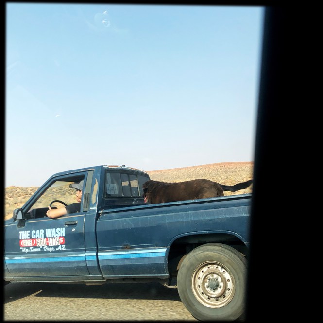 HipstamaticPhoto-556413466.115619