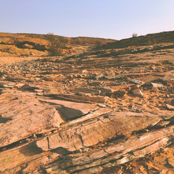 HipstamaticPhoto-556417503.438744