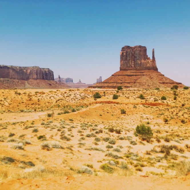 HipstamaticPhoto-556490741.715545