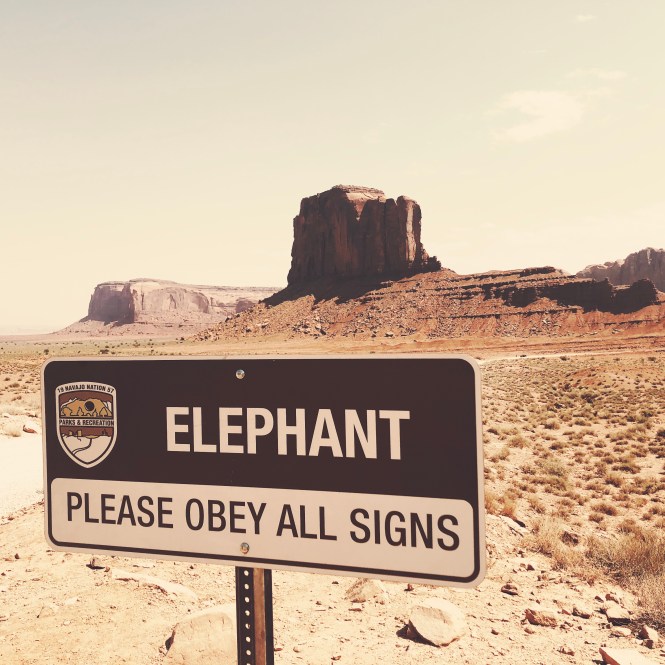 HipstamaticPhoto-556491290.500456