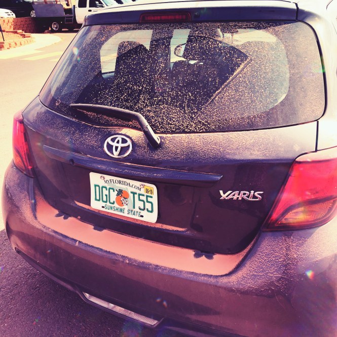 HipstamaticPhoto-556496681.306789