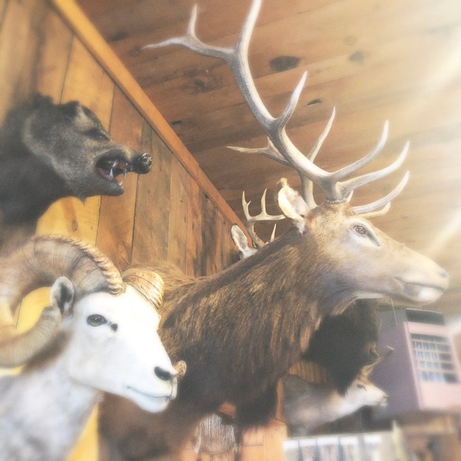 HipstamaticPhoto-556578501.814462