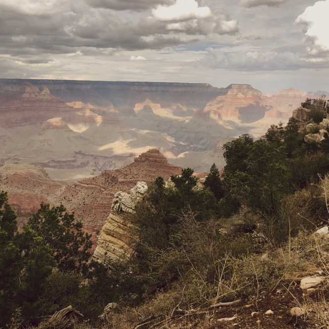 HipstamaticPhoto-556583720.862955