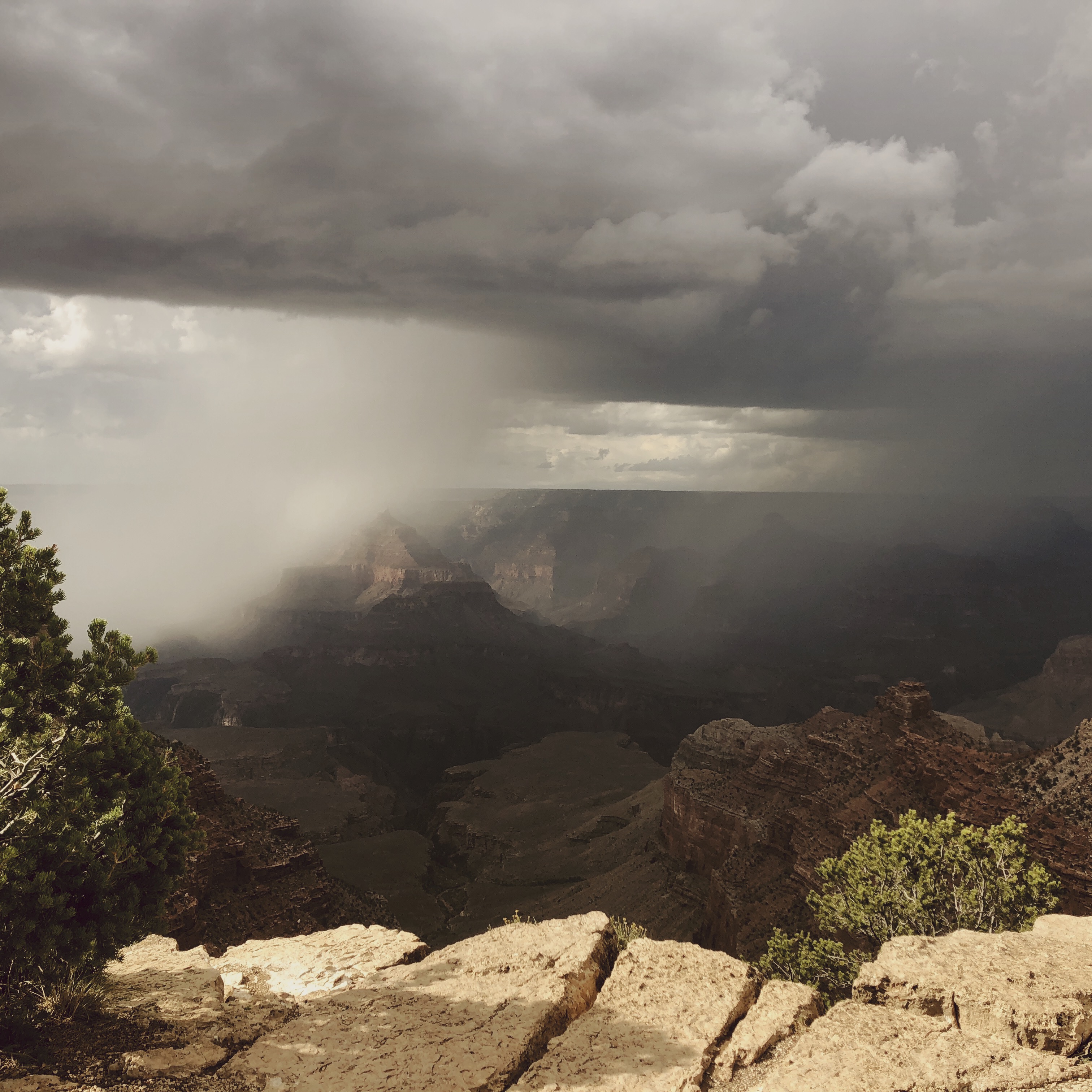 HipstamaticPhoto-556585200.066610