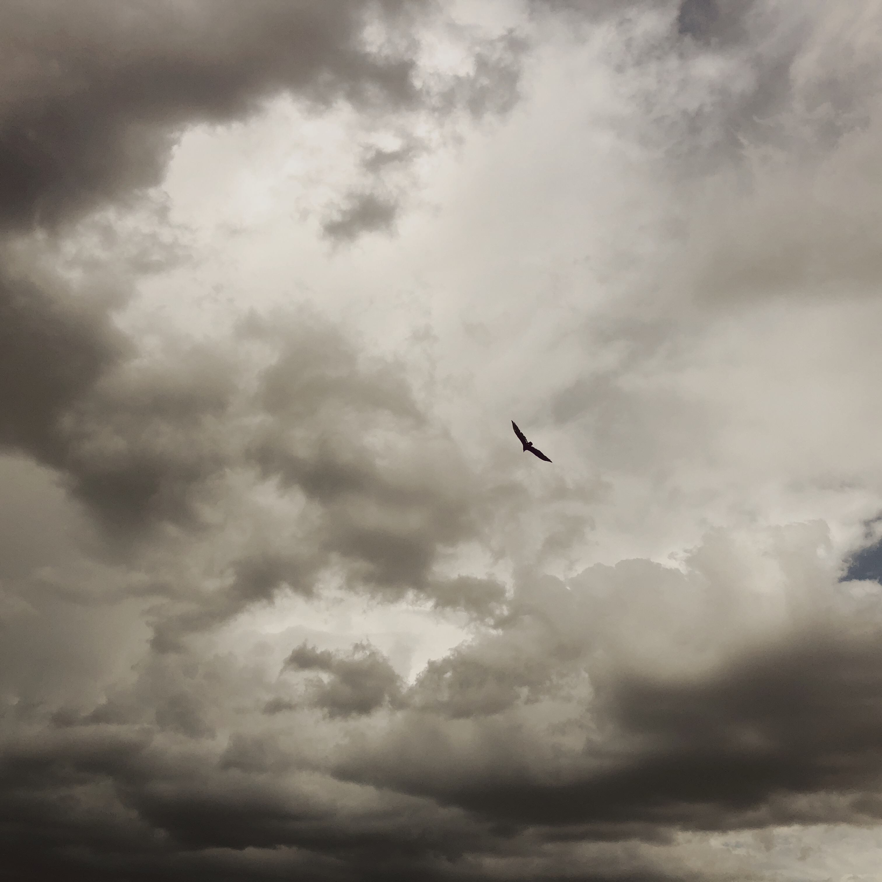 HipstamaticPhoto-556585215.975846