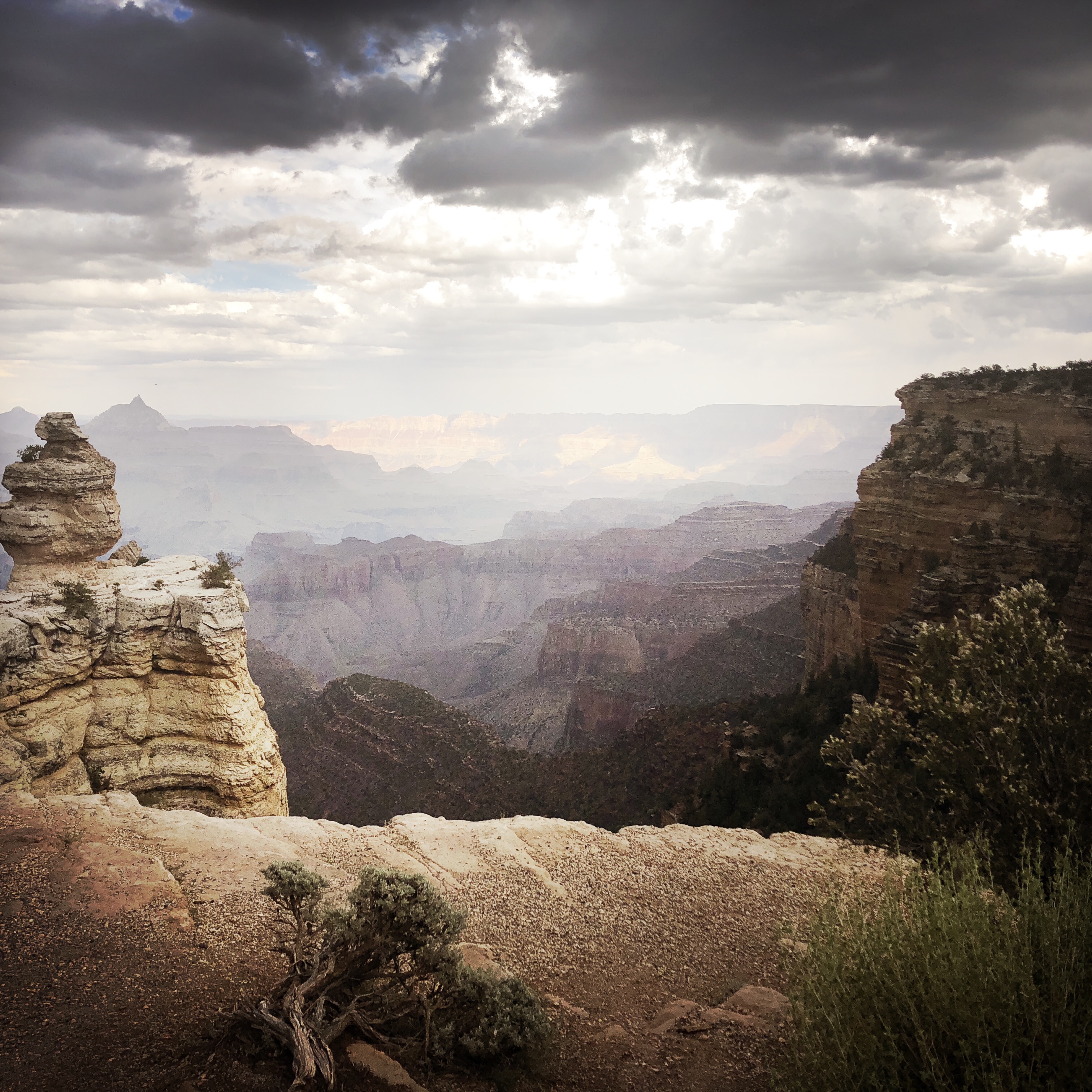 HipstamaticPhoto-556585844.913161