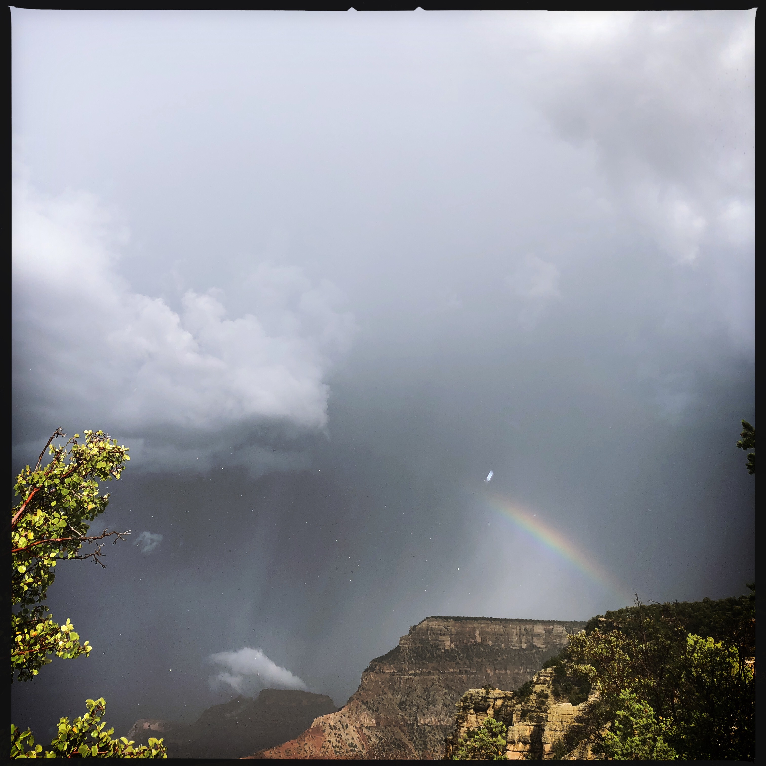 HipstamaticPhoto-556588613.662817