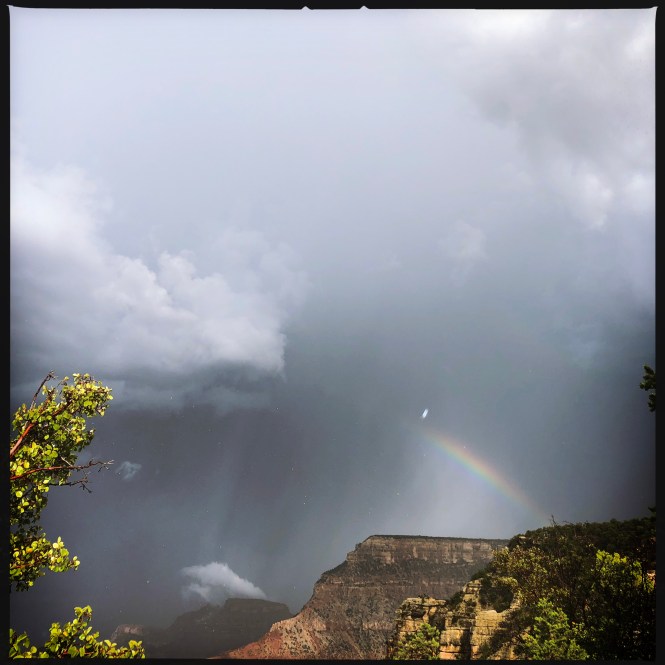 HipstamaticPhoto-556588613.662817