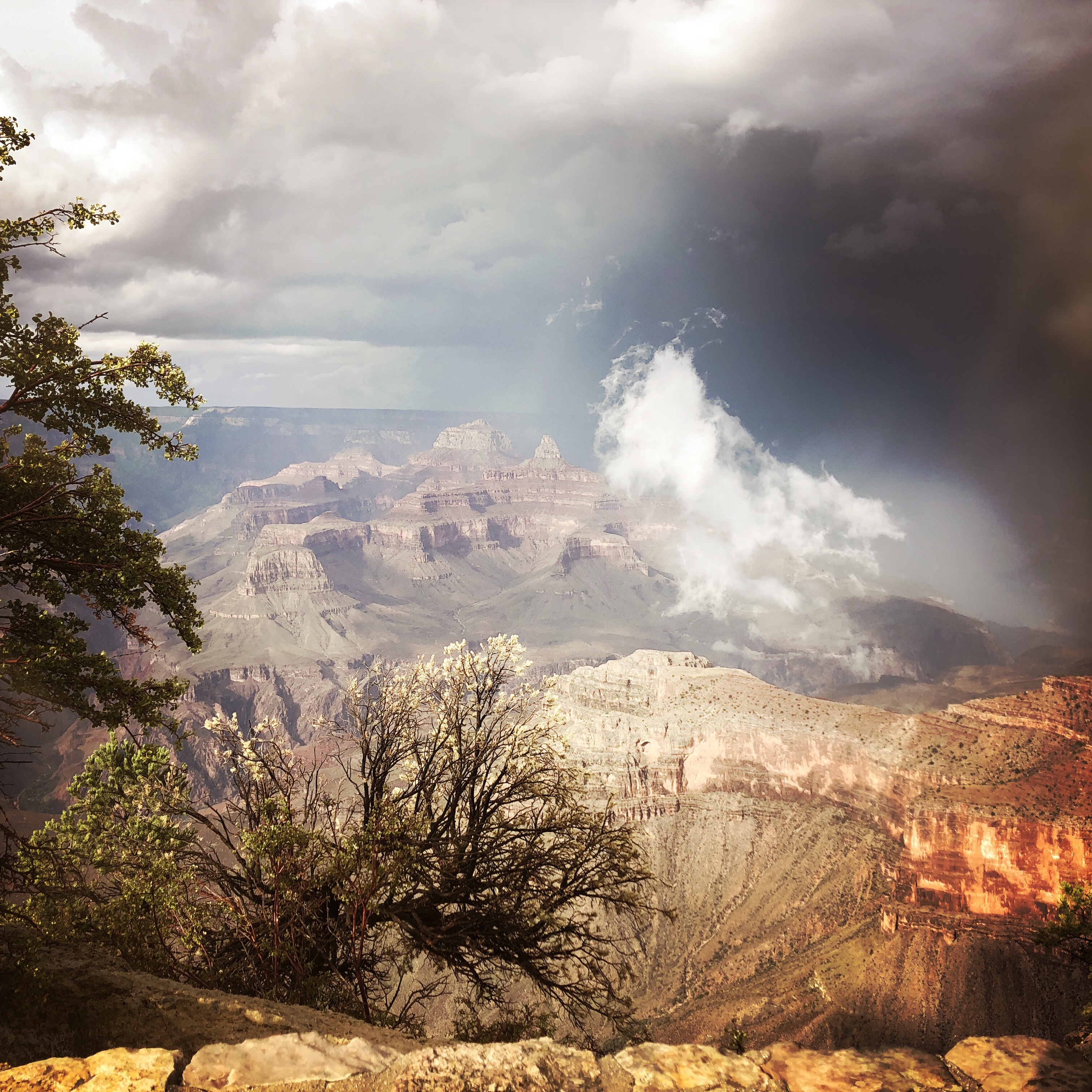 HipstamaticPhoto-556588634.929608