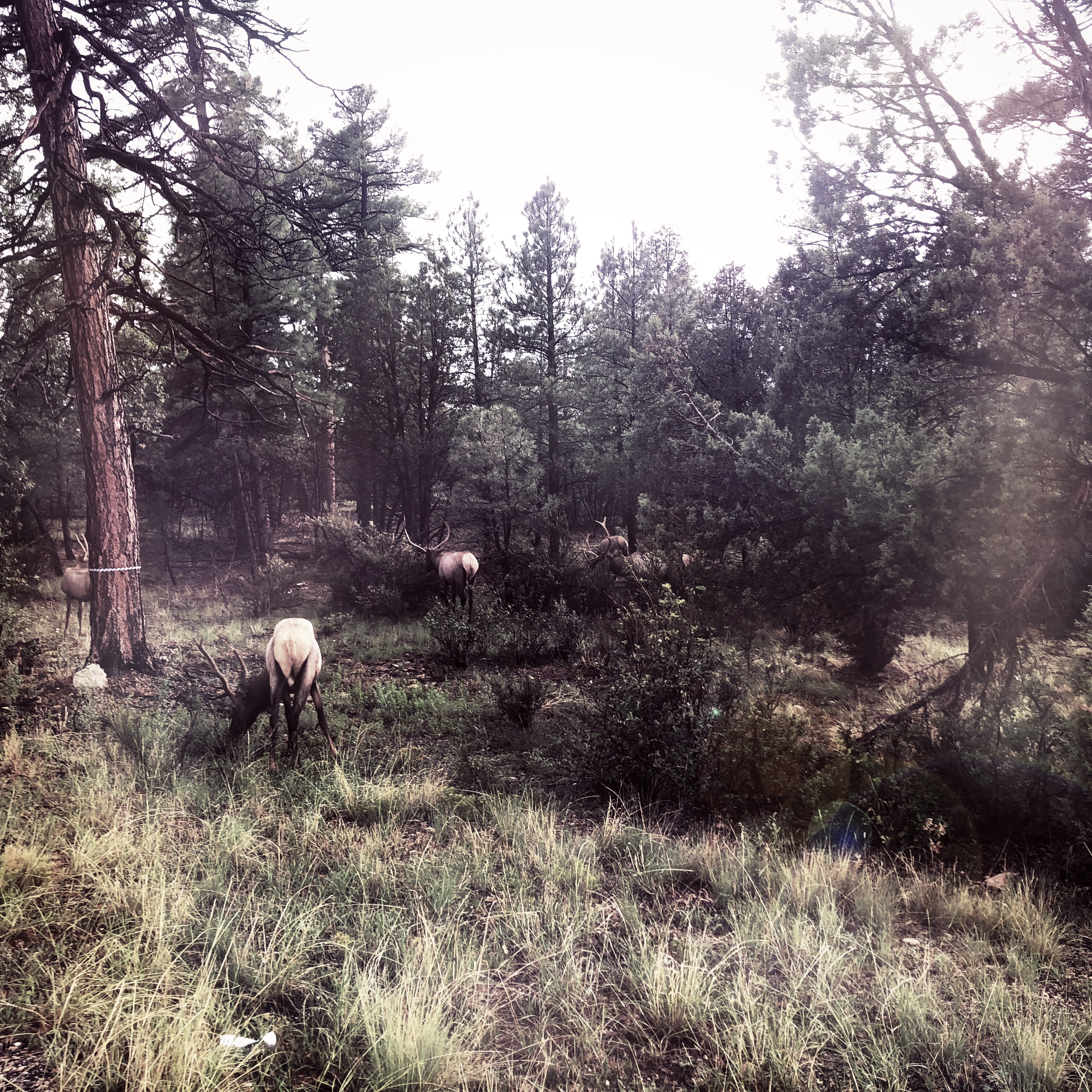 HipstamaticPhoto-556591206.325094