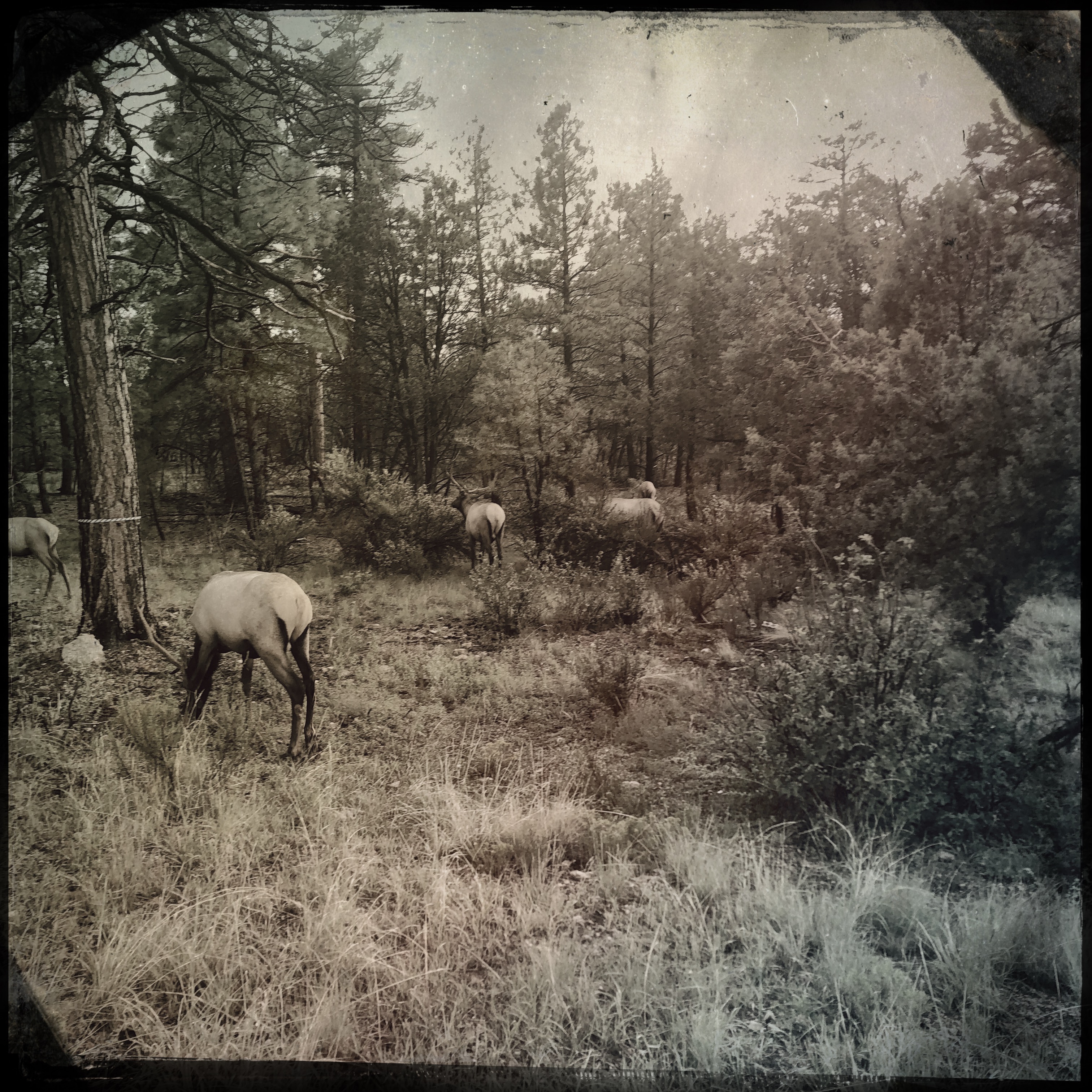 HipstamaticPhoto-556591214.431207