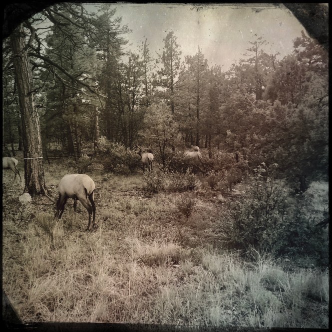 HipstamaticPhoto-556591214.431207